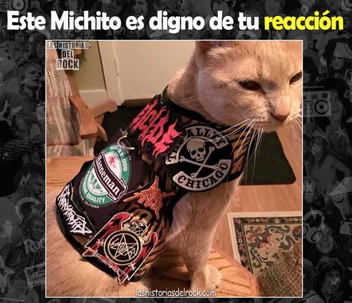 Este Michito es digno de tu reaccion