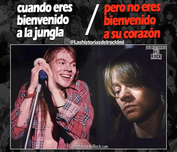 cuando eres bienvenido a la jumgla