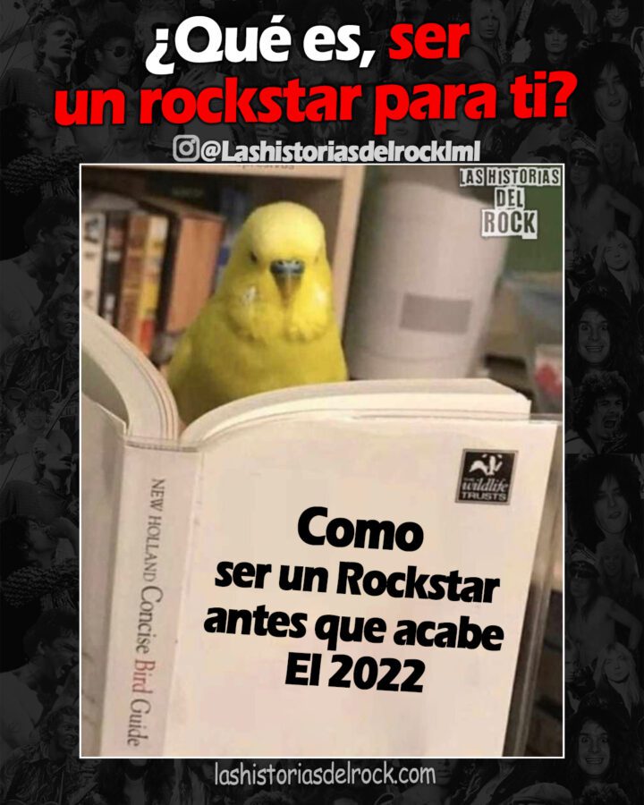 que es ser un rockstar