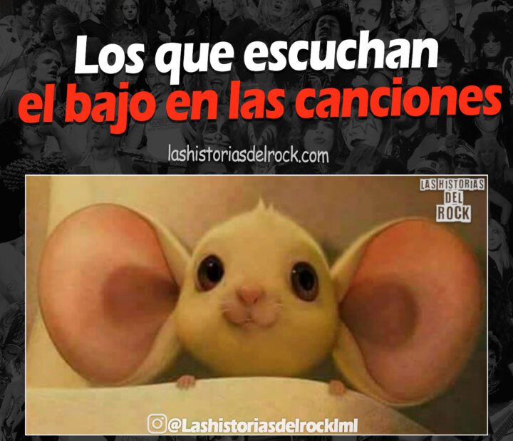 los que escuchan el bajo