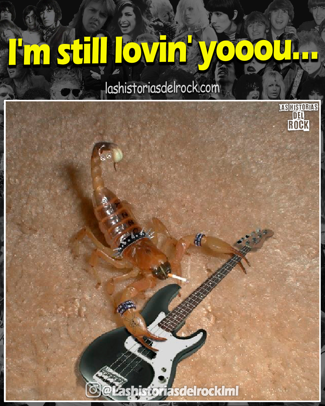 solo fans entenderan la referencia