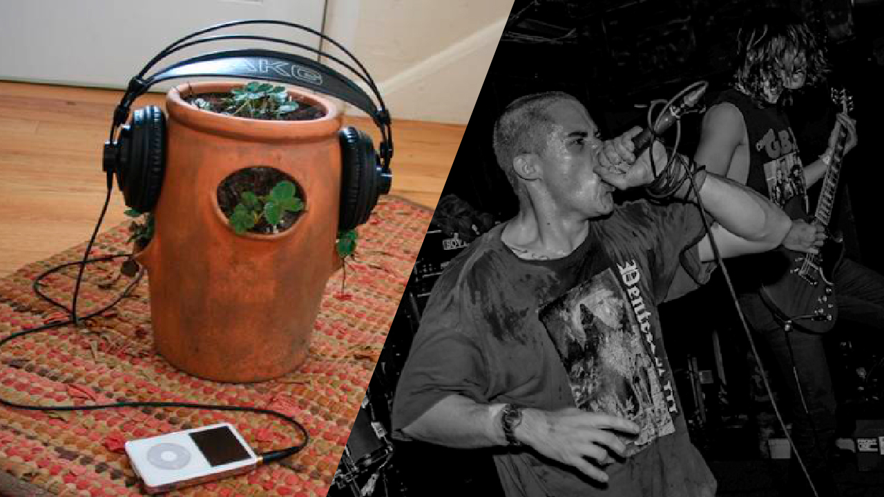 La Musica Metal Ayuda al Crecimiento de las Plantas