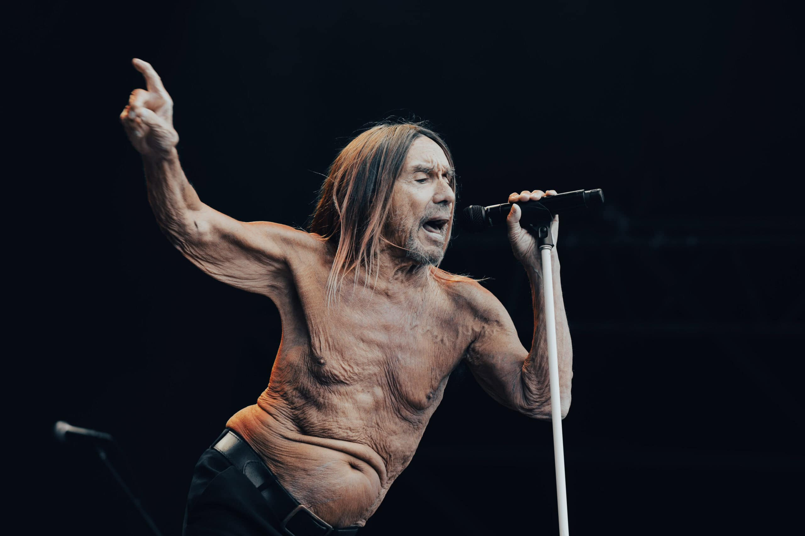 Iggy Pop será homenajeado con el premio Man With The Golden Ear en Polonia 5 Iggy Pop recibirá el premio Man With The Golden Ear en el Soundedit Festival 2026